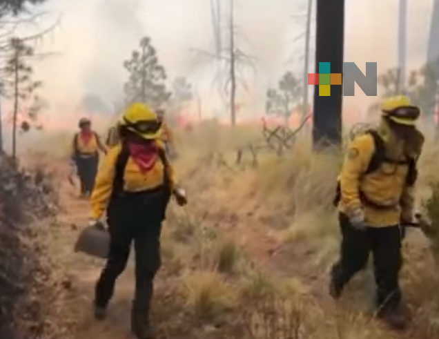 Ser combatiente de incendios forestales es cuestión de actitud no de género
