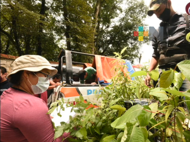 «Escuela Verde» busca involucrar a la comunidad educativa en la conservación y recuperación de bosques