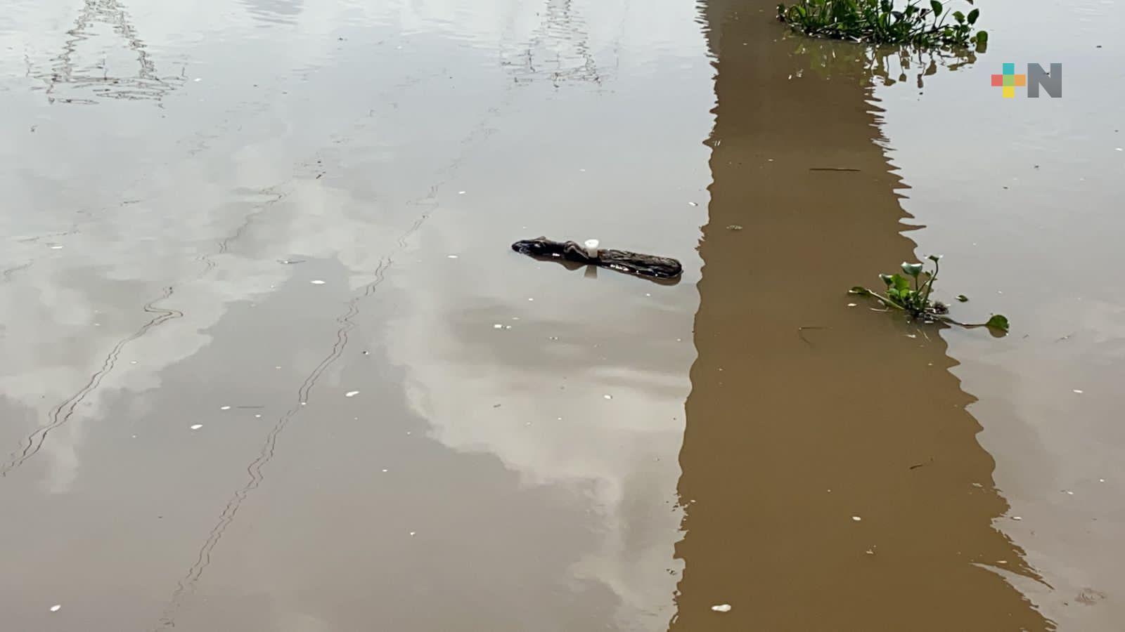 Encuentran cuerpo de menor que fue arrastrado por corriente de río en Coatzacoalcos