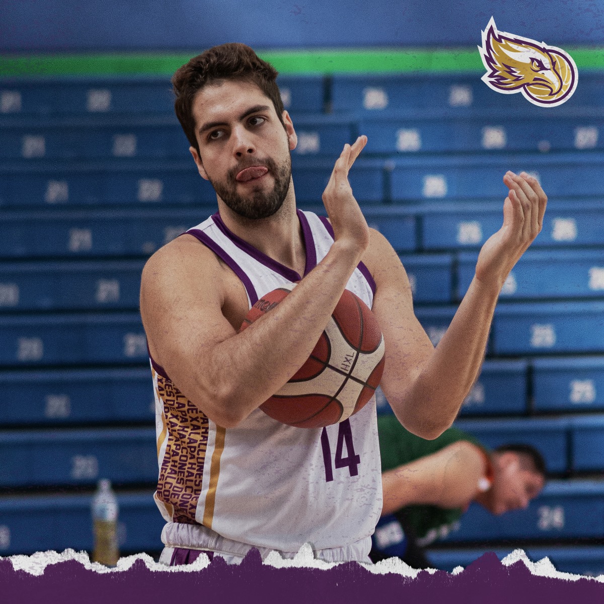 Halcones Xalapa abrirá este martes la taquilla para la serie ante Soles de Mexicali