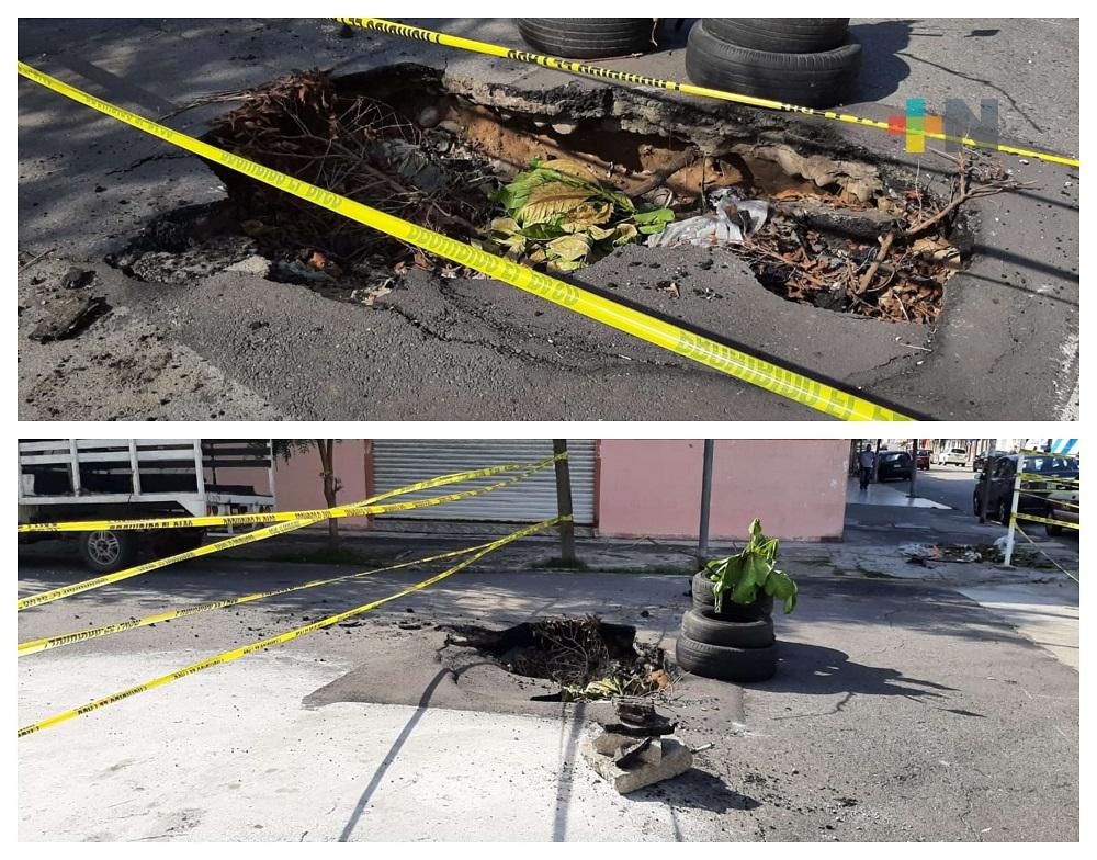 Sin reparar hundimiento en calle Abasolo de Veracruz