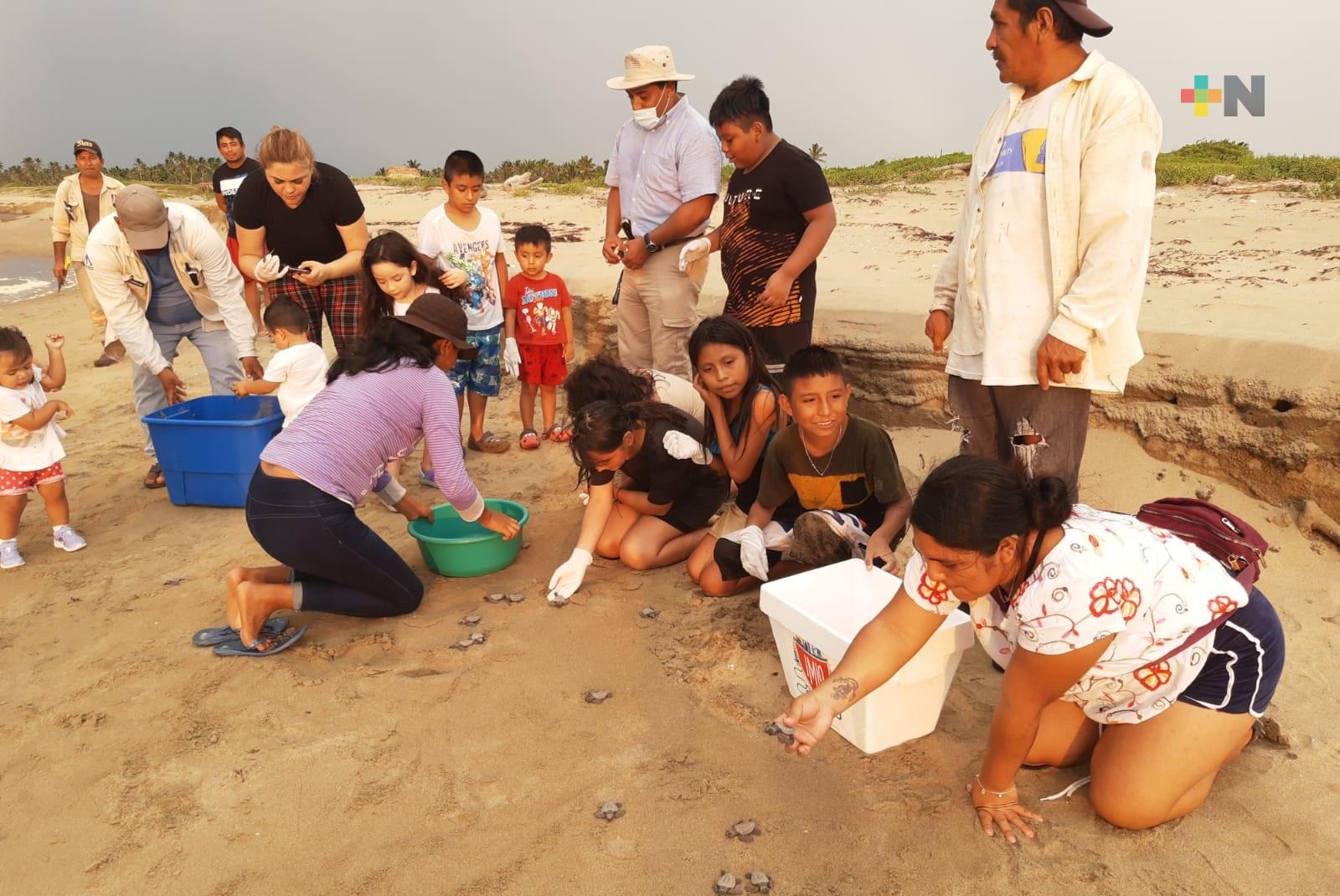 Liberan tortugas en Playa de Guillermo Prieto