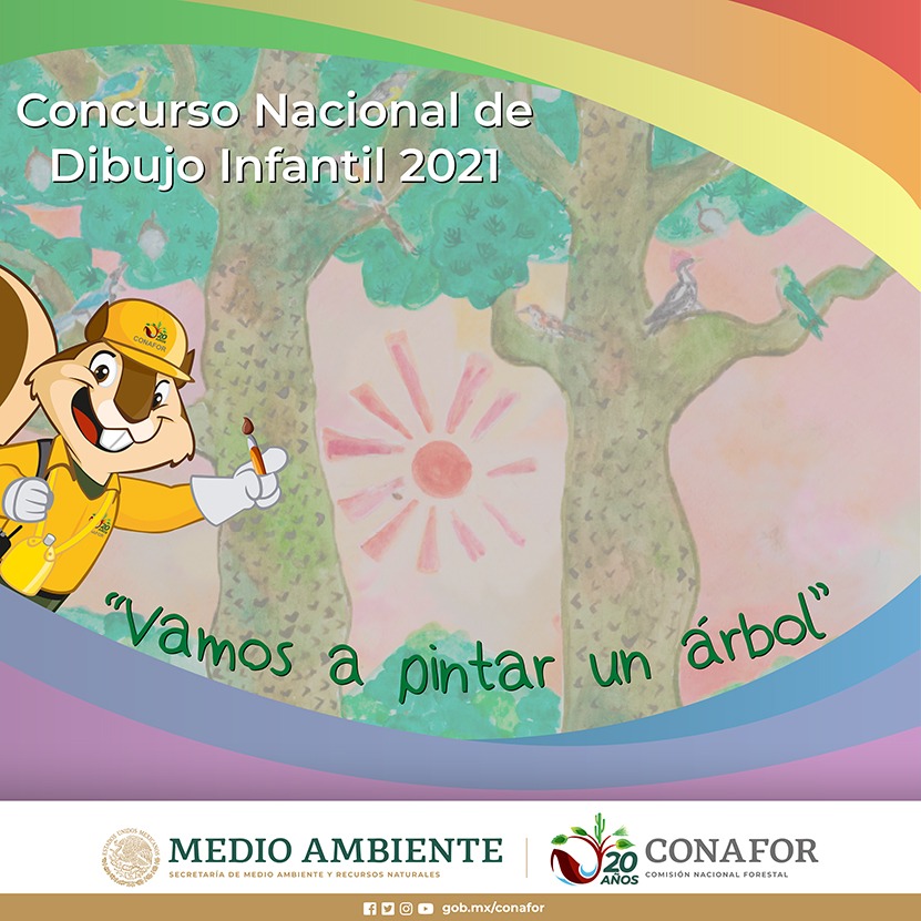 Conafor invita a participar en el concurso nacional de dibujo infantil “Vamos a pintar un árbol”