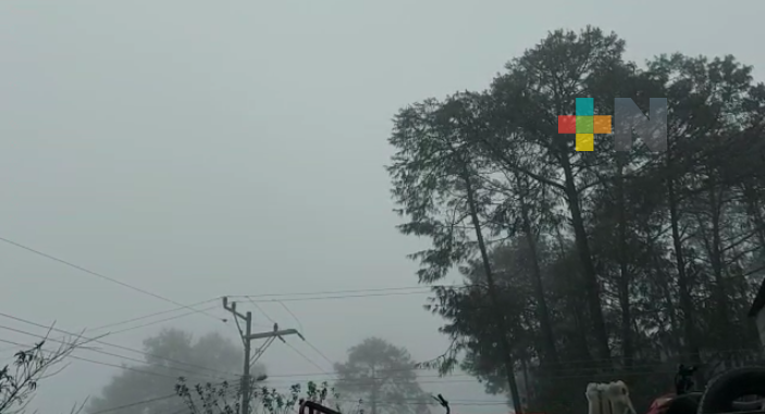 Reportan saldo blanco en sierra de Huayacocotla