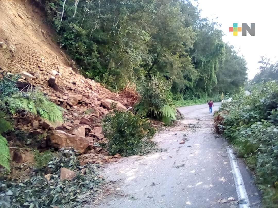 Derrumbes y caída de árboles en Huayacocotla