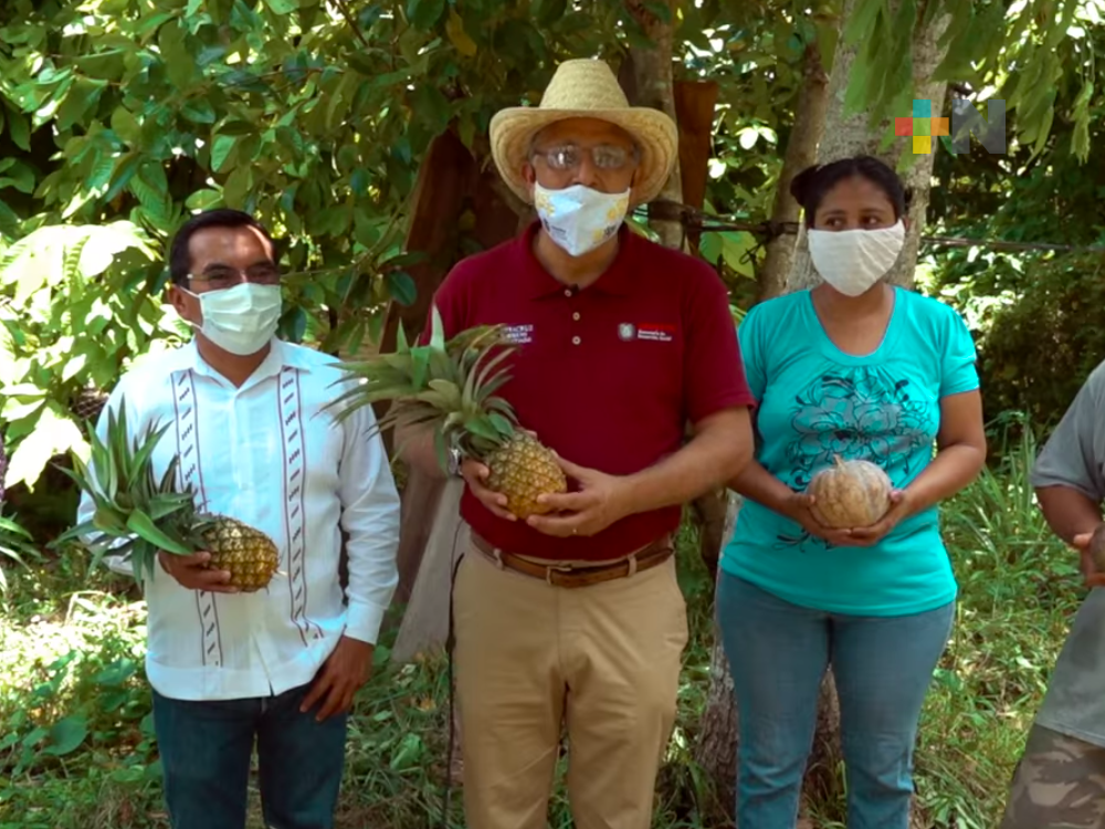 Avanza programa Módulos hacia la Autosuficiencia Alimentaria en municipio de Agua Dulce