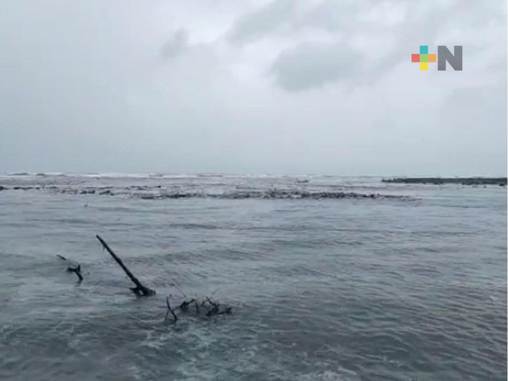Municipios de la zona norte de Veracruz, listos para auxiliar a la población durante paso del huracán Grace