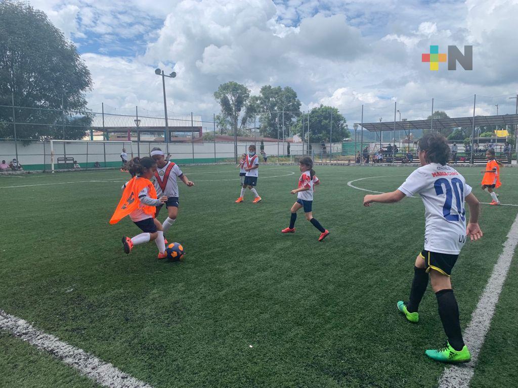 Realizan visorias de Futbol Rápido y Futbol 7 en Martínez de la Torre y Coscomatepec