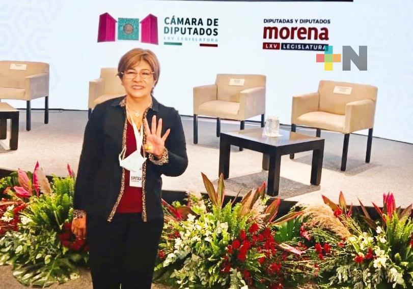 Lista agenda de la LXV Legislatura: Rosa María Hernández Espejo