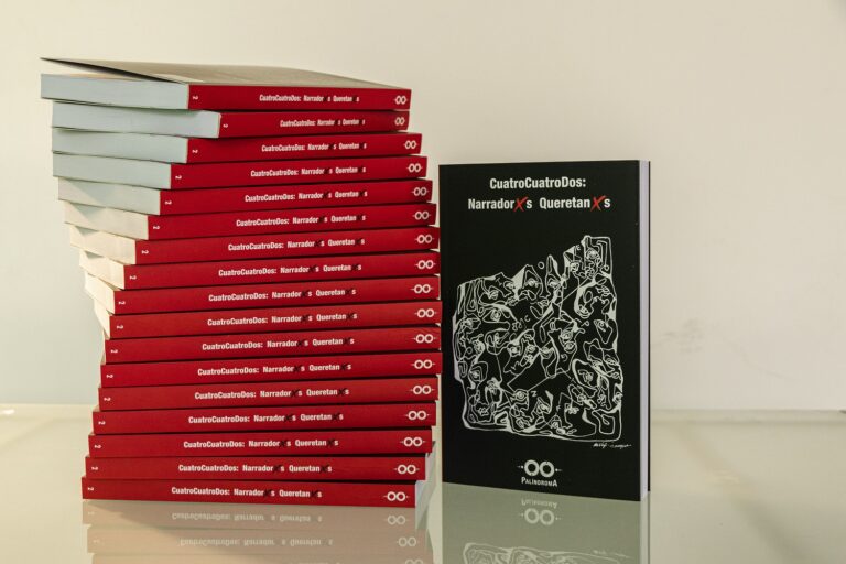 Presenta Ágora libros de la editorial independiente Palíndroma