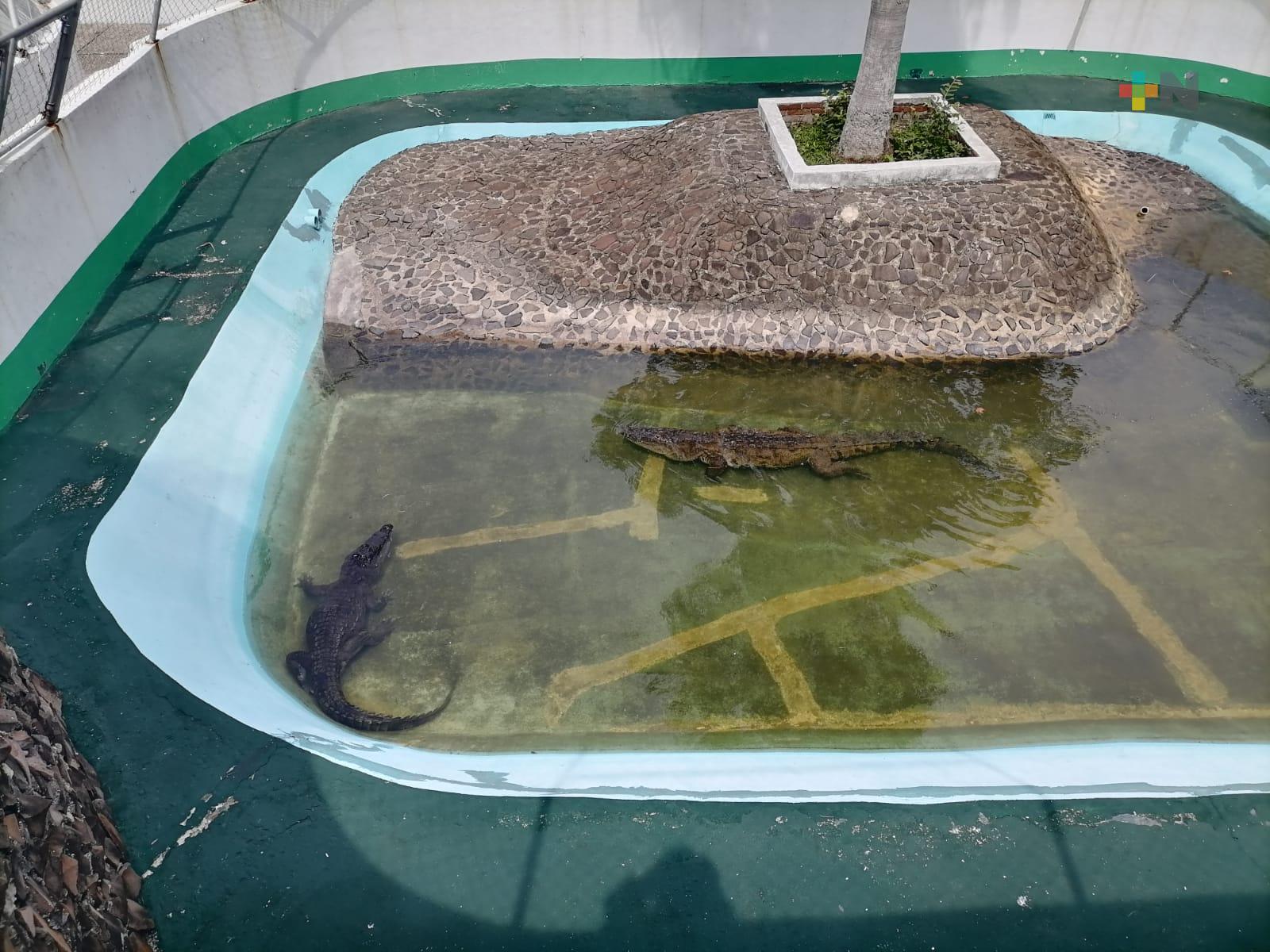 Parque zoológico de Villa Allende y reserva natural en Tabasco proyectan intercambio de especies