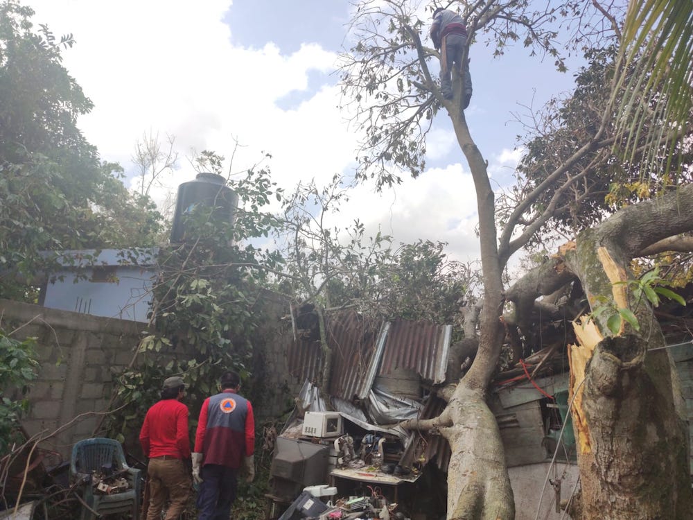 Siguen labores de limpieza y entrega de apoyos en Poza Rica, para familias damnificadas por huracán Grace