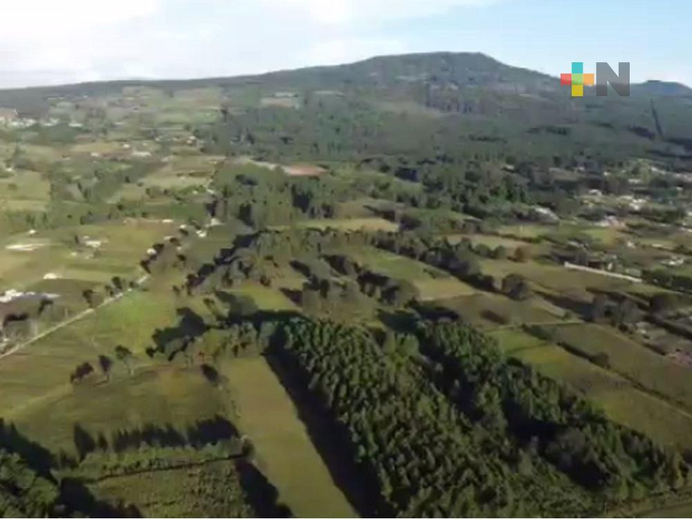 Programa Sembrando Vida se llevó a cabo en la Huasteca Alta y Sierra de Huayacocotla