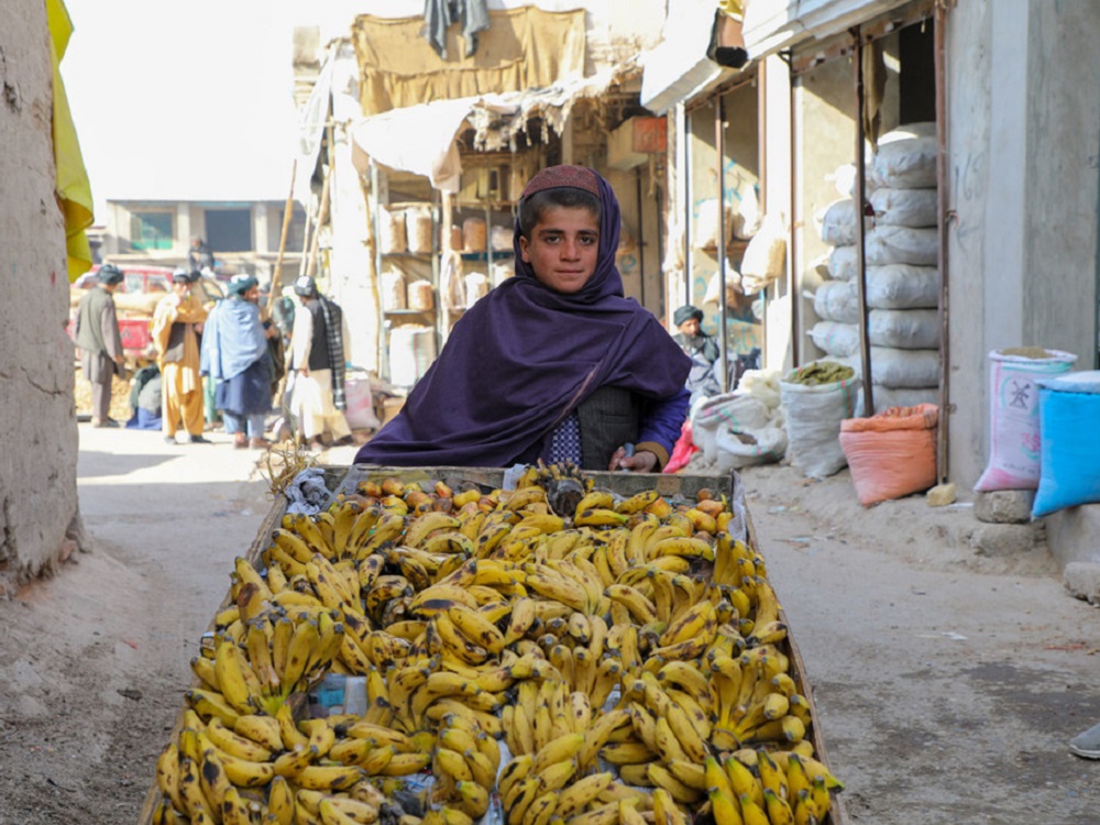 Se necesita 200 mdd para alimentar a los afganos