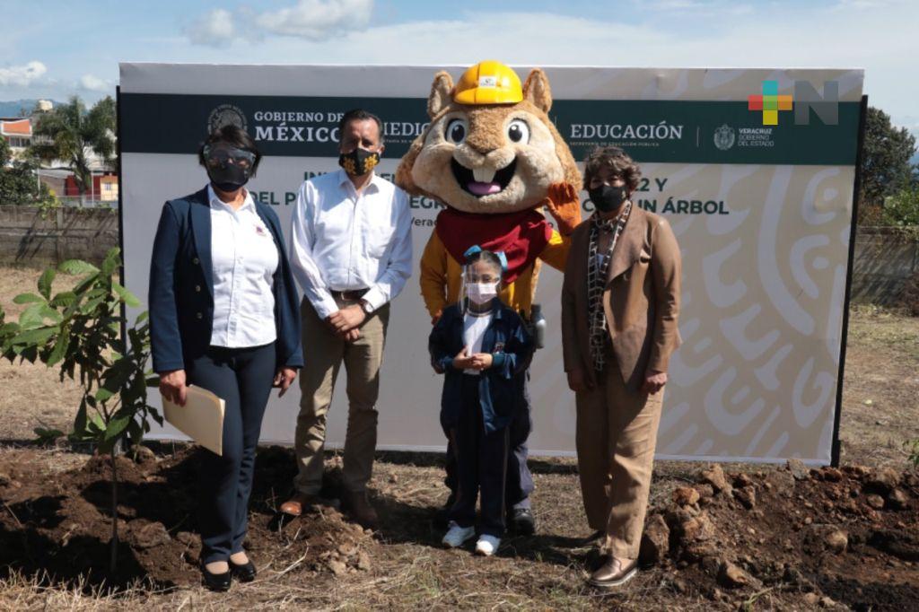 En Veracruz inició a nivel nacional, el programa «Regresa a clases, con un árbol»: SEP