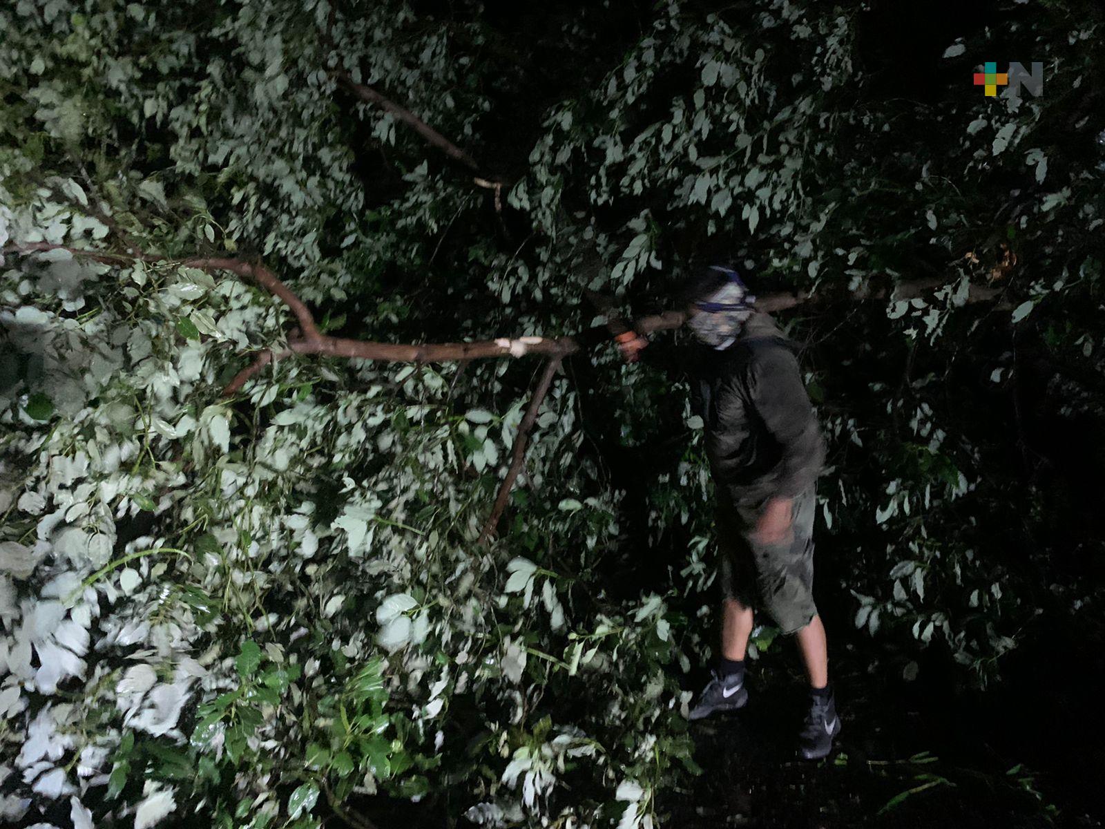 Casas destechadas y afectaciones a la agricultura de los primeros daños por el paso de Grace