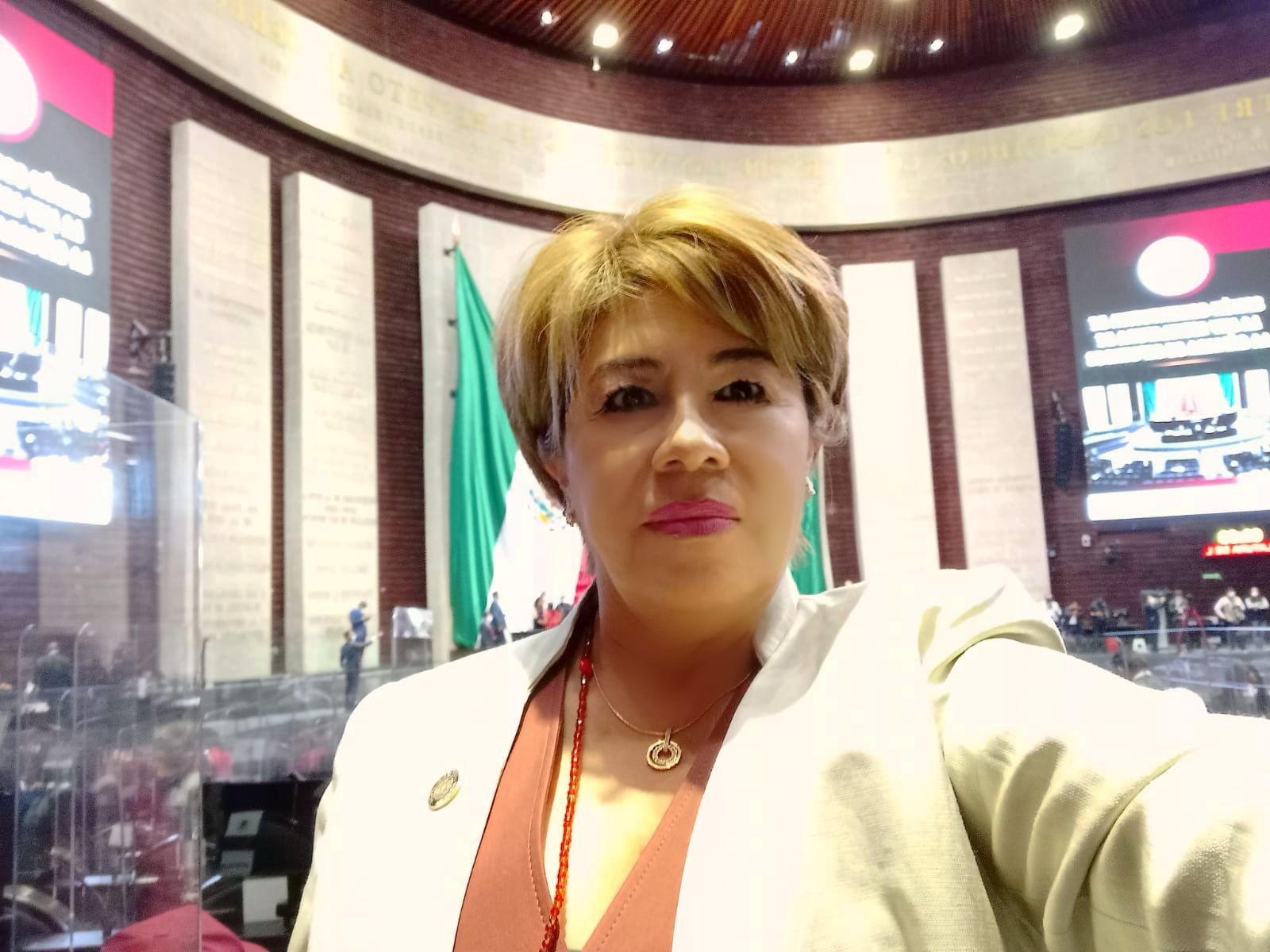 Morena analiza llevar a juicio político a consejeros del INE: Rosa María Hernández