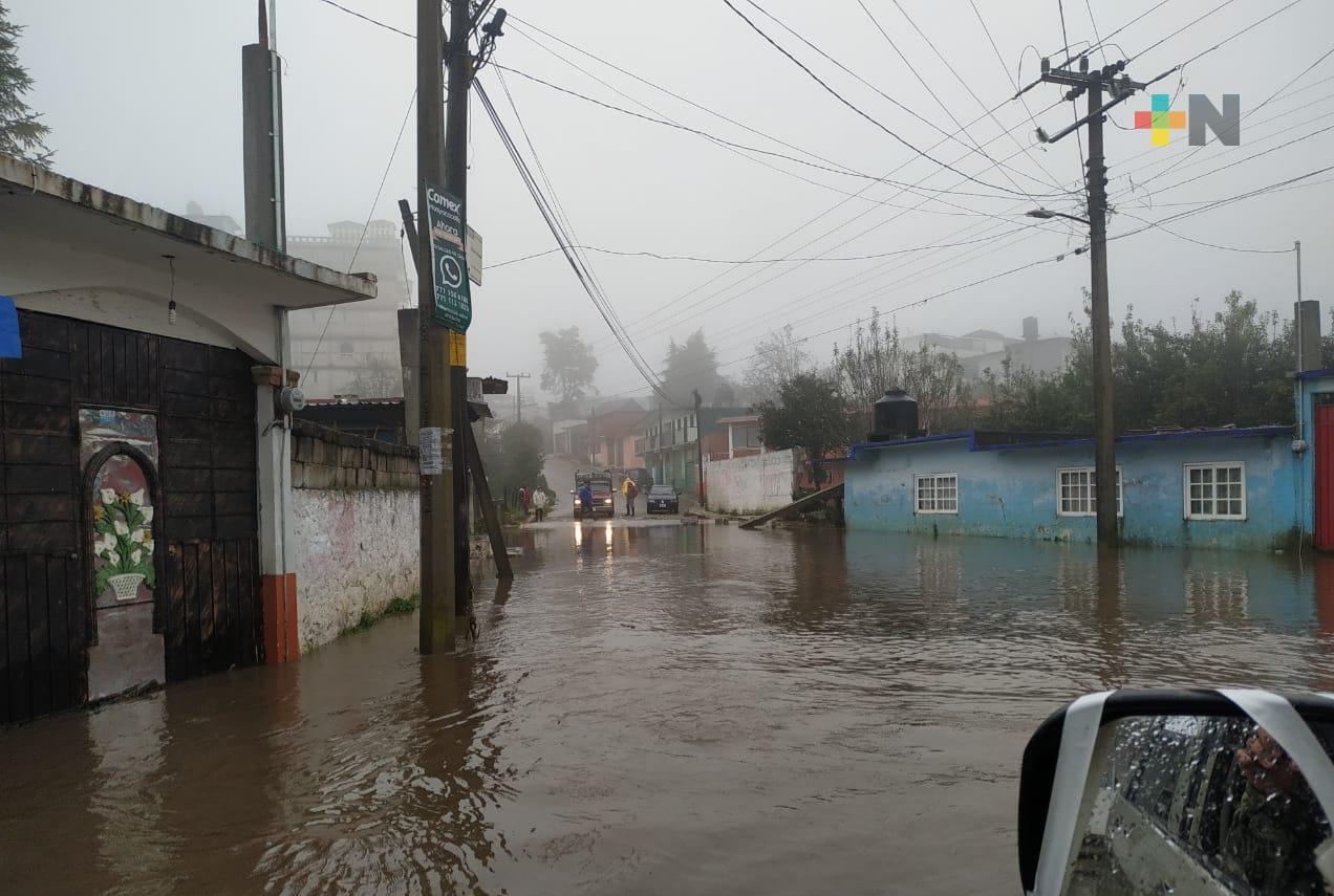 En municipios afectados por huracán Grace no será posible el regreso a clases presenciales: AMLO