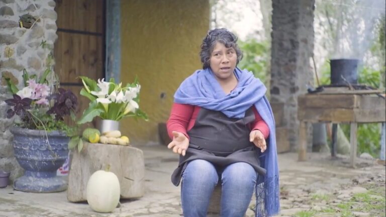 Ofrece IVEC fin de semana de documentales en “Cultura con ambiente”