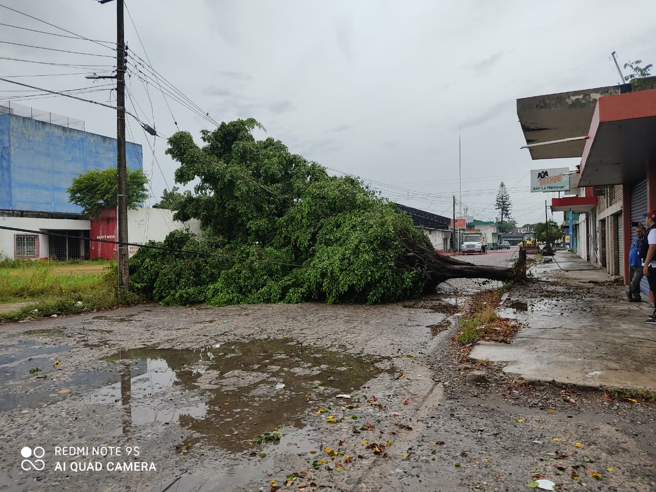 Sin problemas mayores en la región de Martínez de la Torre