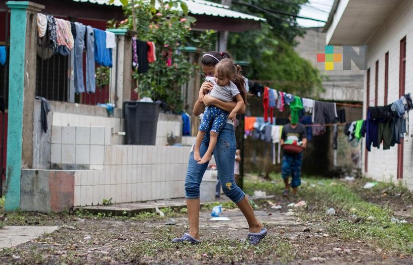 Una nueva aplicación permitirá evaluar posibles amenazas ambientales y cómo mitigarlas: ONU