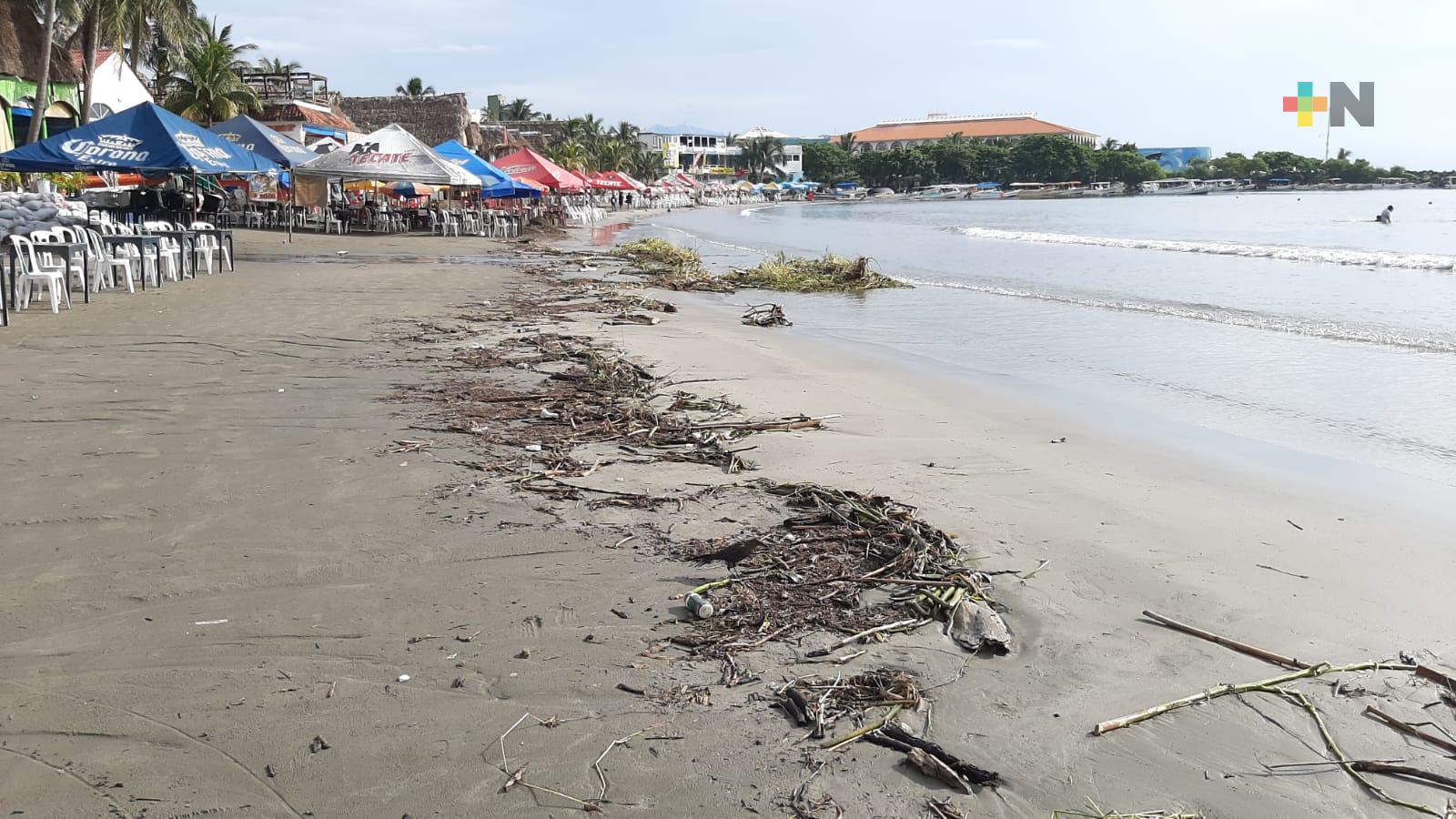 Huracán Grace dejó palizada en playas de Veracruz-Boca del Río