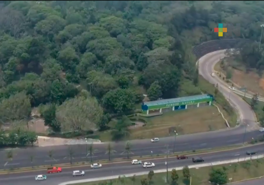 En Xalapa se cuenta con programas para fomentar la cultura del agua