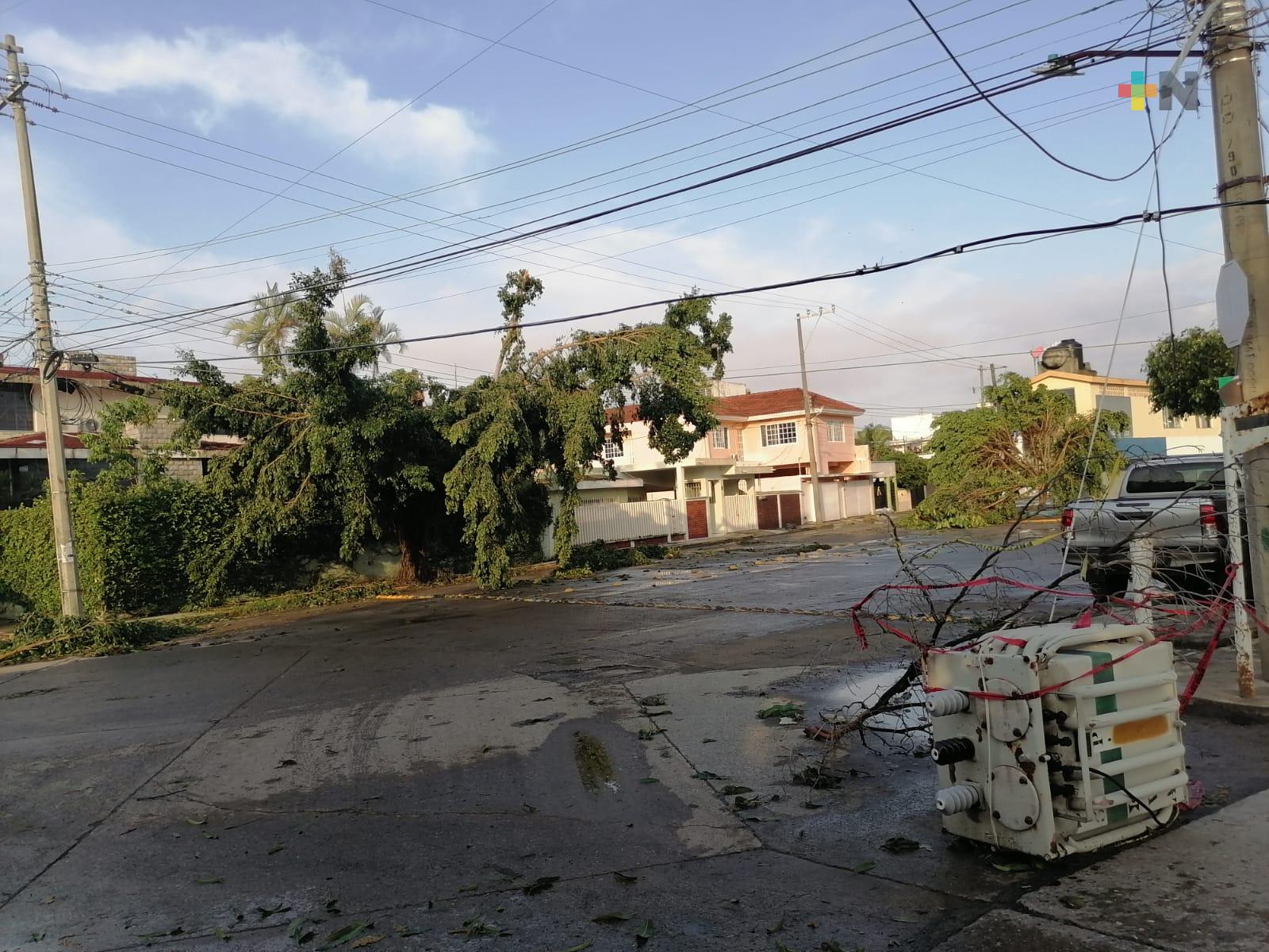 En Poza Rica, restablecidos en 80% servicios públicos afectados por huracán Grace