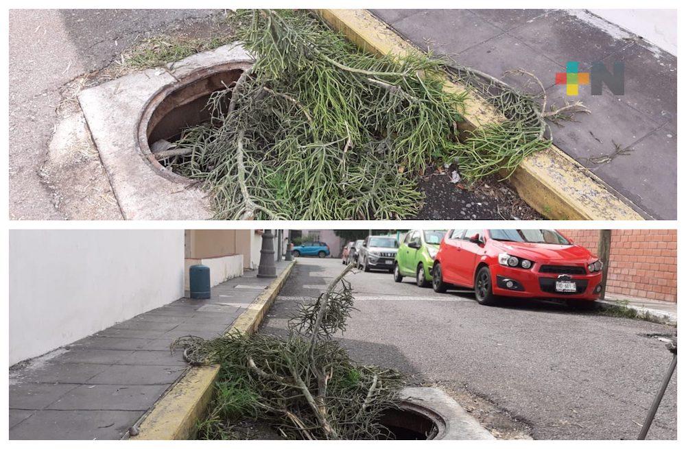 Tres meses sin tapa tiene un registro de CFE en Centro Histórico de Veracruz