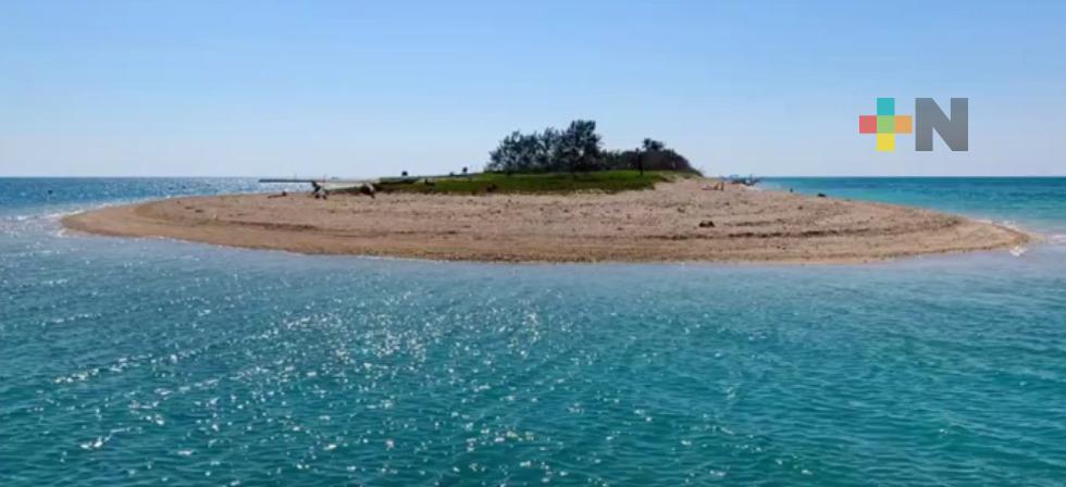 Más de 200 puntos de descarga de aguas detectan en el Parque Arrecifal Veracruzano