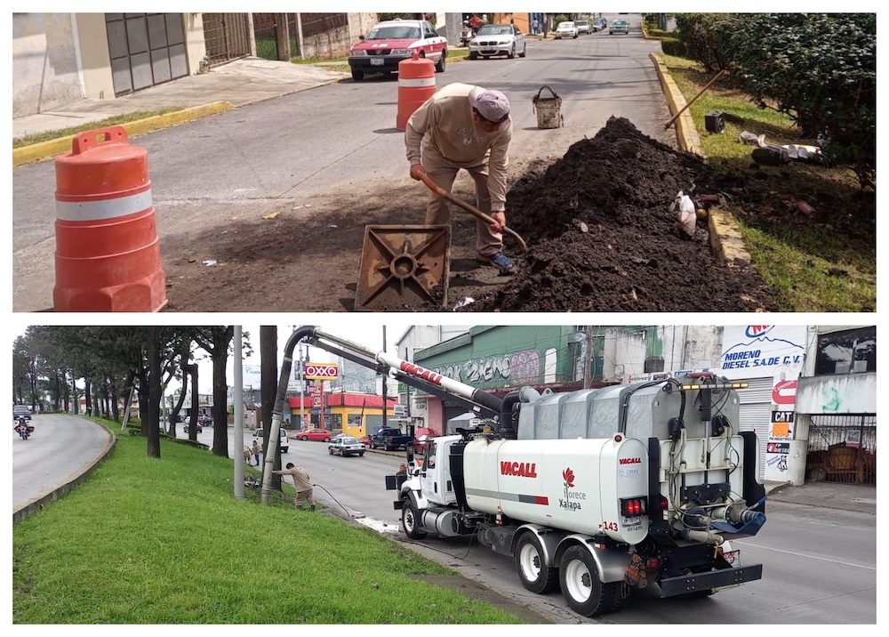 En Xalapa intervienen arbolado y limpian alcantarillas y resumideros