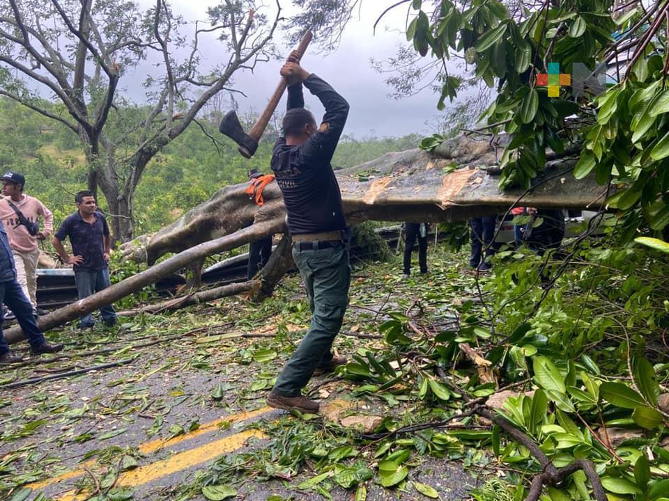 Atiende Plan Tajín zonas de mayor afectación por el Huracán Grace, en Veracruz