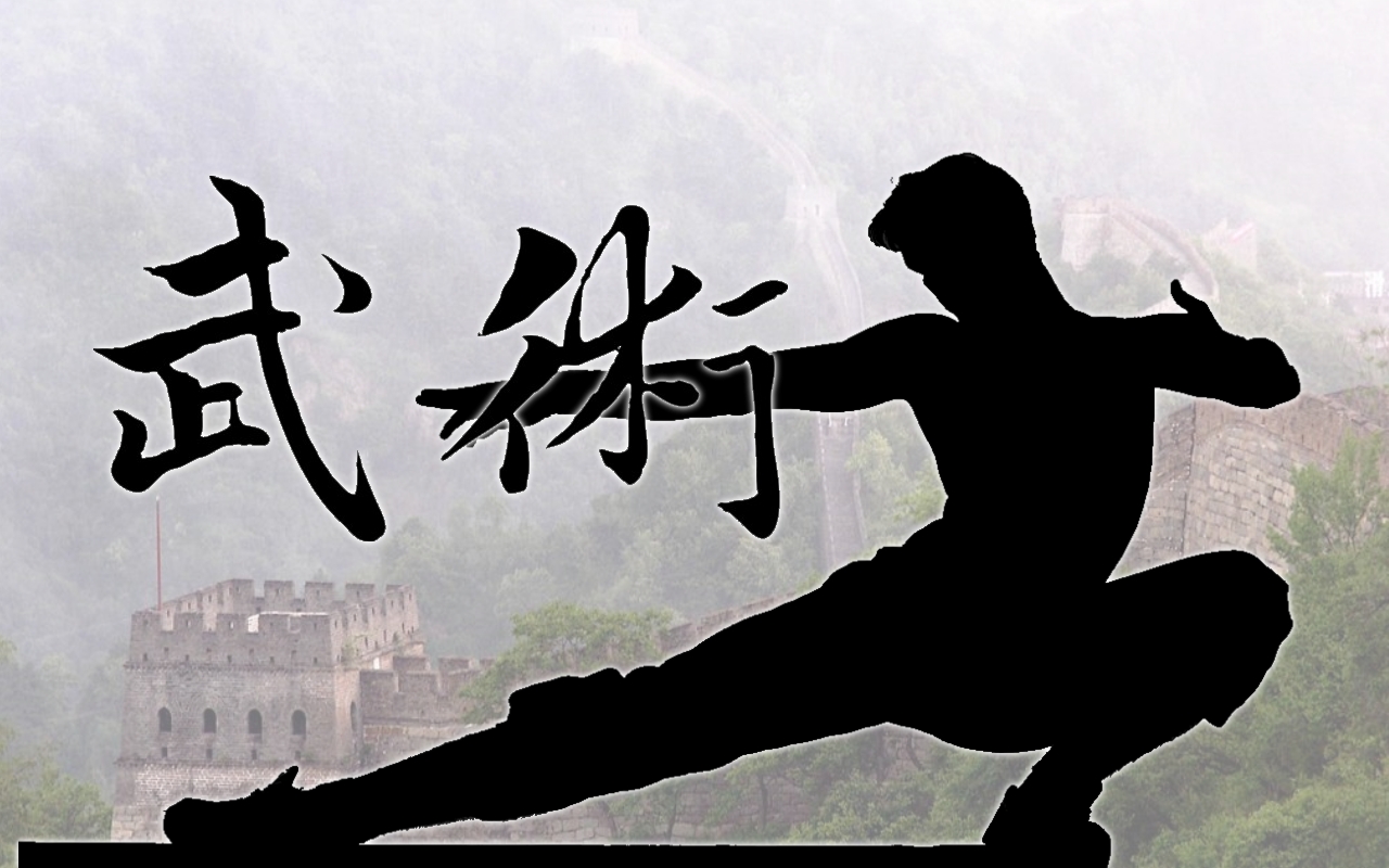 A puerta cerrada el selectivo estatal de wushu kung fu