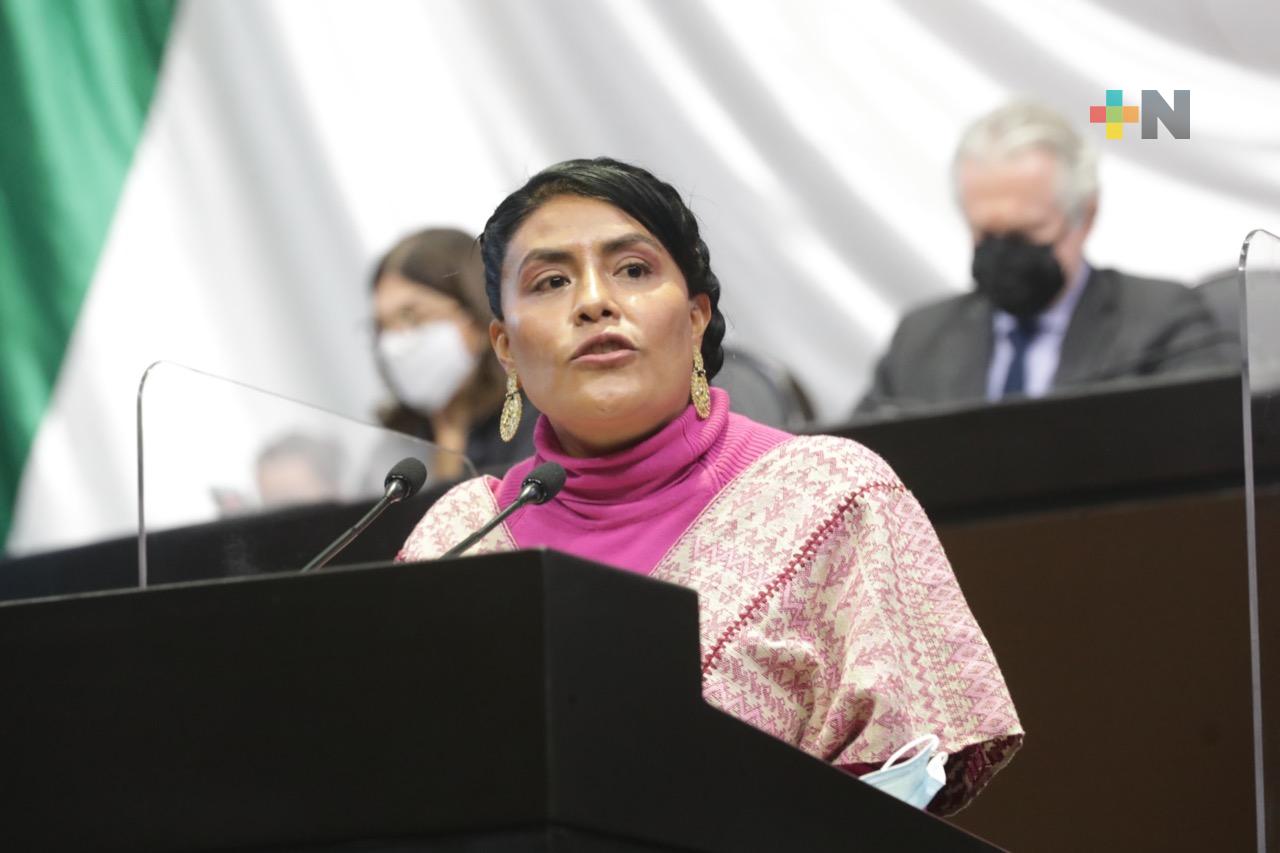 Diputados plantean crear Comisión Especial sobre el Tren Maya y el Corredor Interoceánico del Istmo