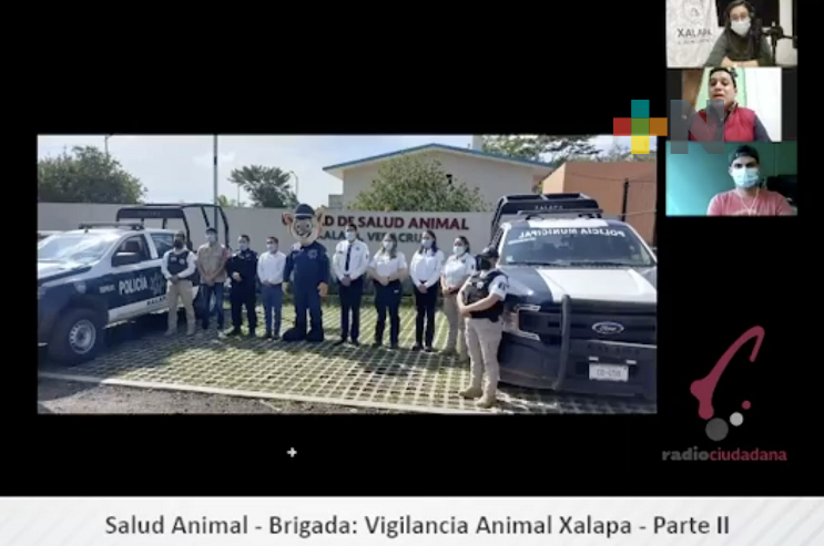 Xalapa tendrá Brigada de Vigilancia Animal