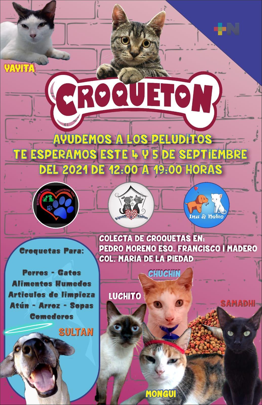 En Coatzacoalcos, organizaciones protectoras de animales realizarán croquetón