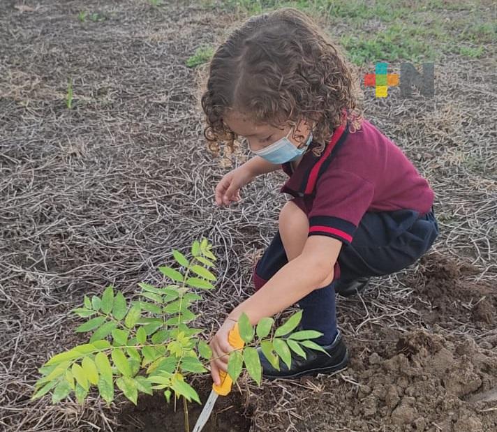 Siembran vida en el Club Ambiental del Colegio Latino Veracruz-CEULVER