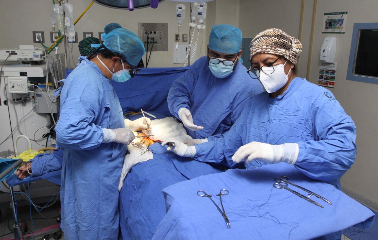 En 2021 IMSS, ha realizado mil 69 trasplantes y procurado 371 donaciones cadavéricas
