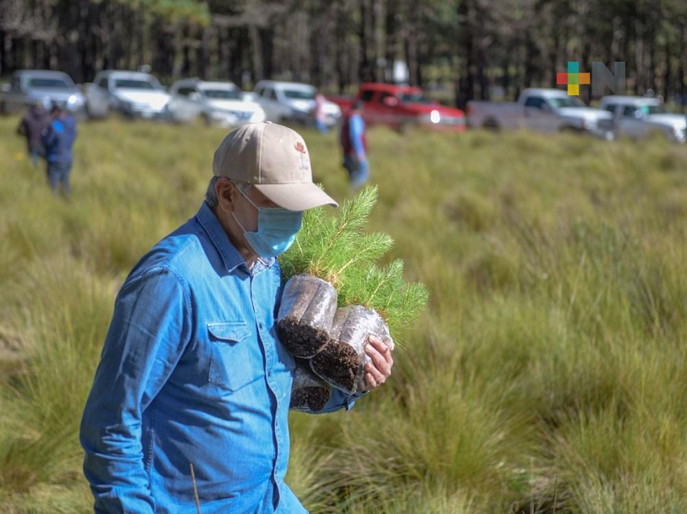 Con siembra de árboles en reserva, se beneficiará Xalapa: alcalde Hipólito Rodríguez