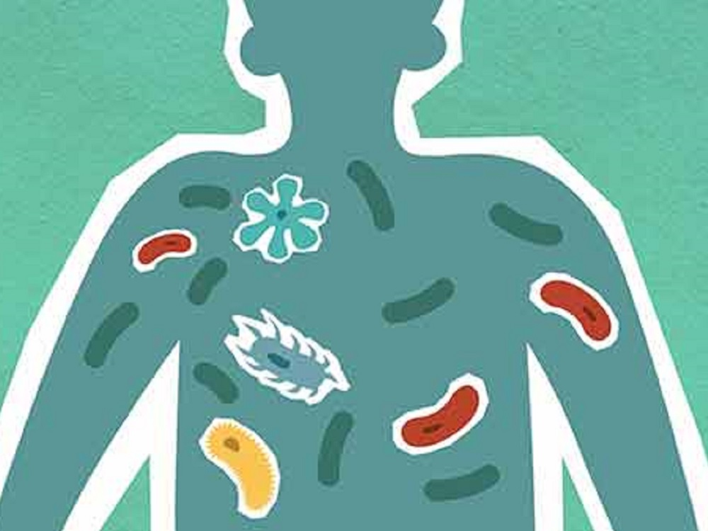 Consumo excesivo de antibióticos altera la microbiota del organismo