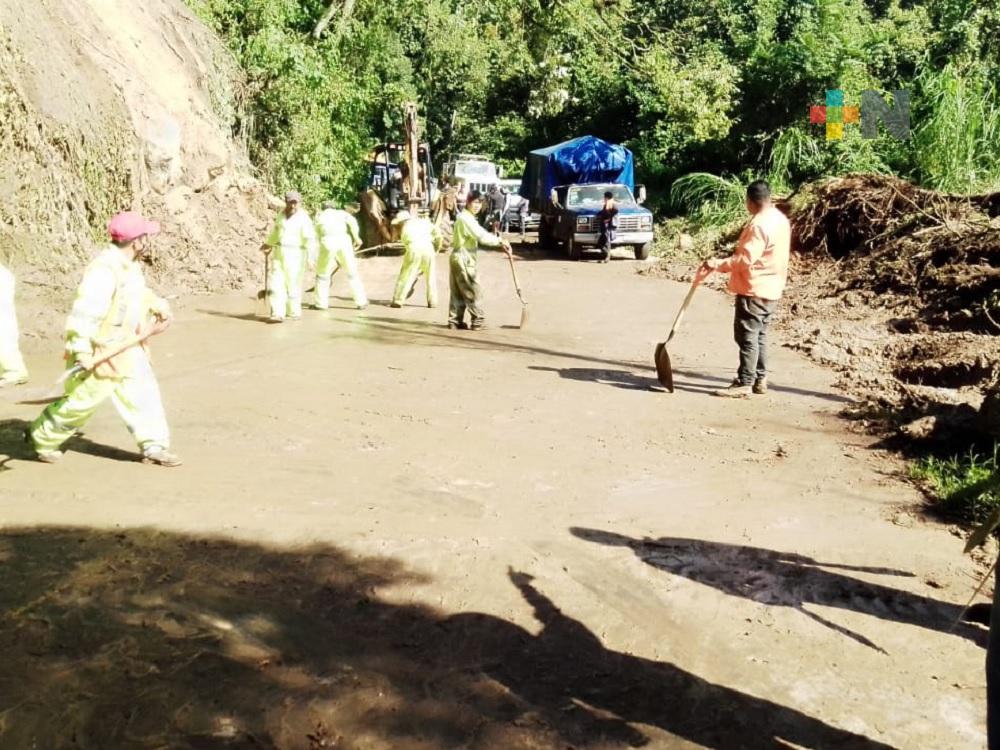 Debido a diversos deslaves, realizan limpieza en carretera federal Coscomatepec-Huatusco