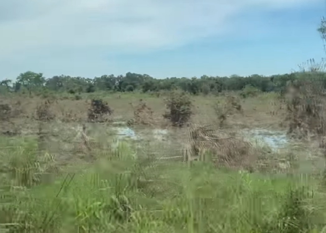 En Álamo, Sedarpa inició recuento de daños en cultivos afectados por huracán Grace