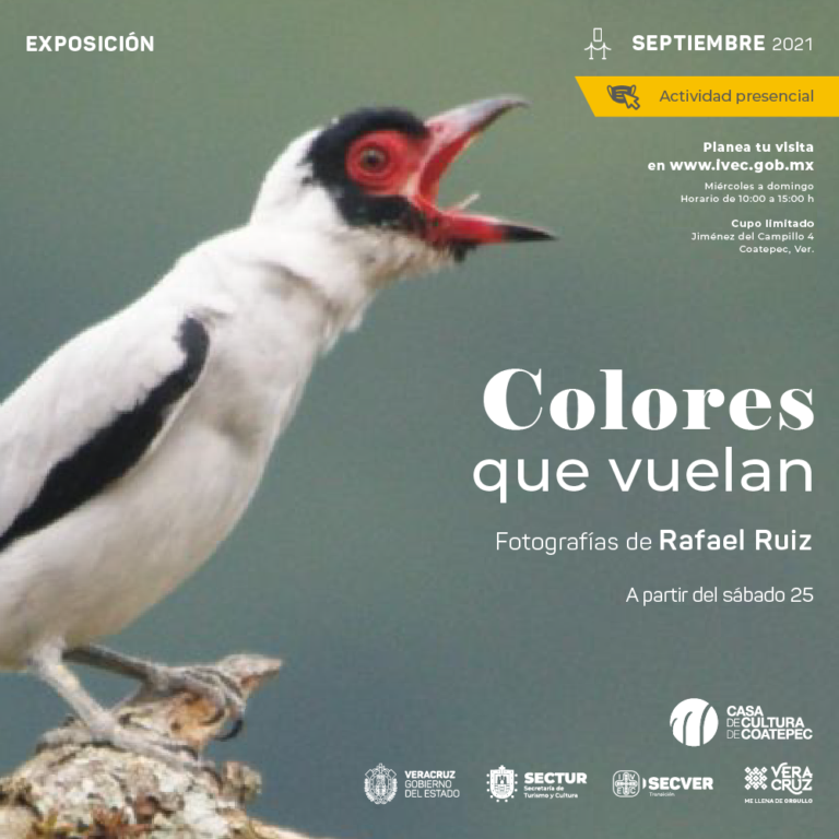 La Casa de Cultura de Coatepec presenta la exposición Colores que vuelan, de Rafael Ruiz