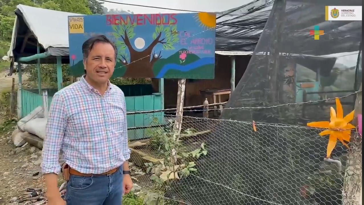 Sembrando Vida beneficia economía y al medio ambiente en zonas rurales: Gobernador