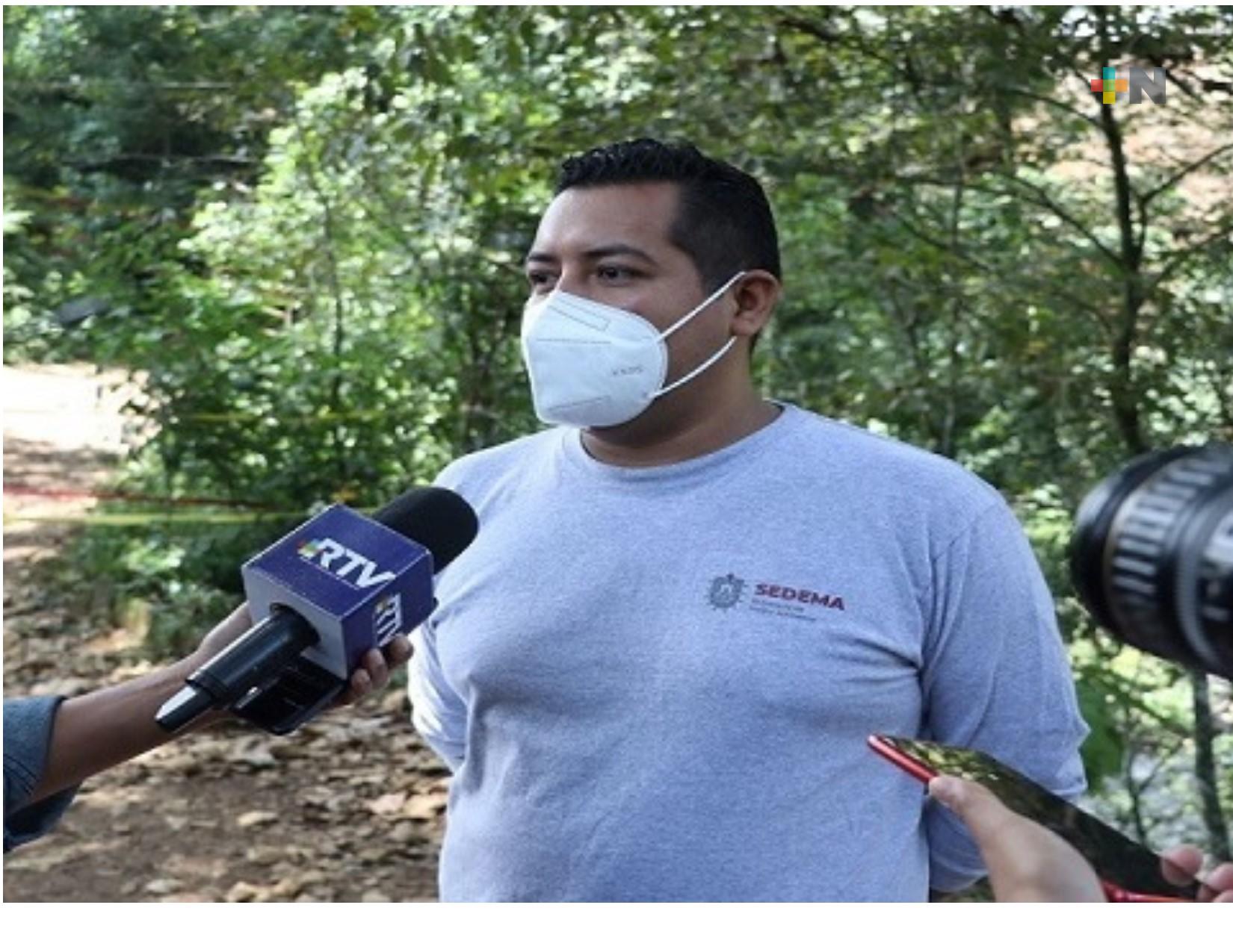 Reforestará SEDEMA áreas naturales afectadas por el huracán Grace