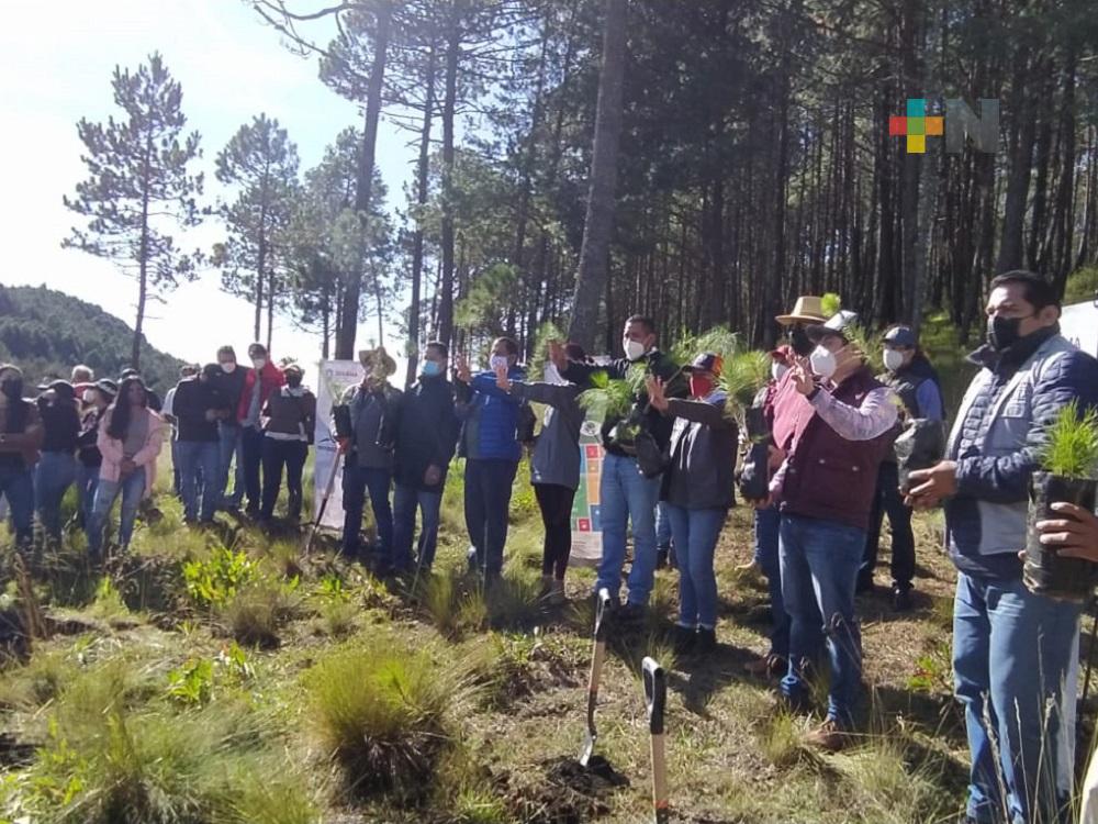 Se espera decretar área natural protegida a la reserva estatal San Pedro en el Monte