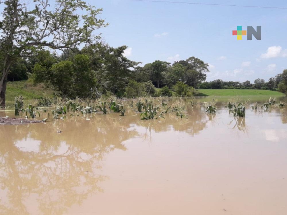 Sedarpa inició evaluaciones a productores de Tempoal y Tantoyuca afectados por Grace