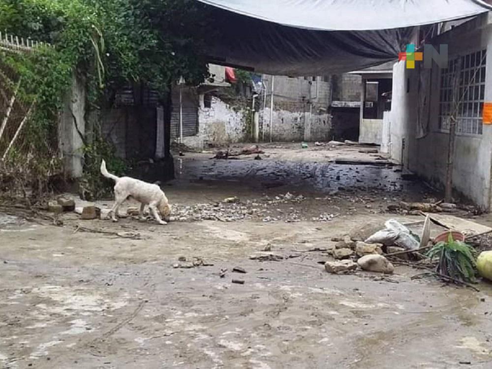 Tromba inundó domicilios y calles en Ixhuatlán de Madero