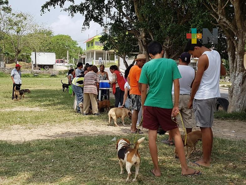 Continúa en Tuxpan vacunación antirrábica de caninos y felinos