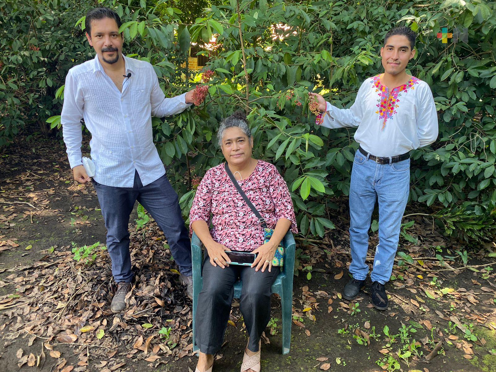 Vino artesanal veracruzano competirá por el Galardón de Bruselas, en Europa